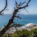 ZAF WC CapeTown 2016NOV13 SignalHill 006 : Africa, Cape Town, South Africa, Southern, Western Cape, 2016 - African Adventures, 2016, November, Signal Hill